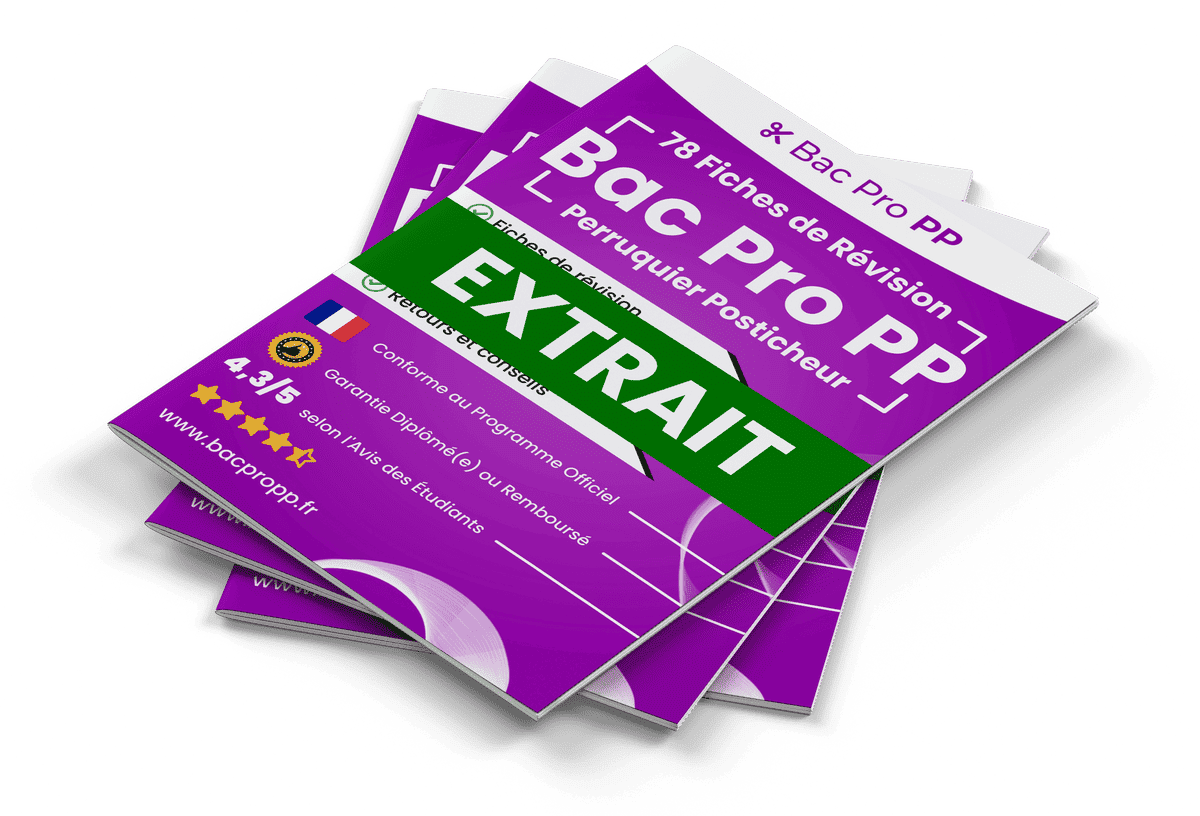 15 Fiches Révision gratuites Bac Pro PP