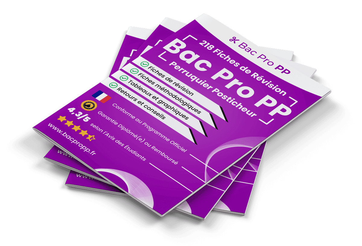 218 Fiches de Révision pour le Bac Pro PP